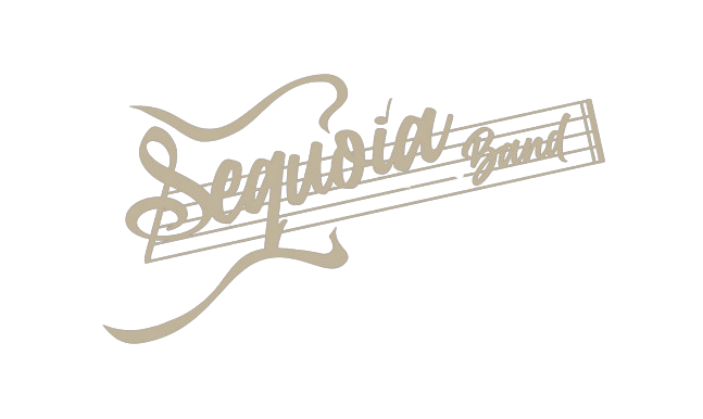 SF Bay Area classic/soft rock cover band